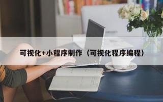 平凉可视化+小程序制作（可视化程序编程）